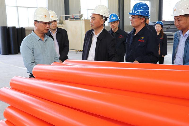 5.21日，定西市副市長、農(nóng)業(yè)農(nóng)村局局長等一行領(lǐng)導(dǎo)蒞臨我公司檢查指導(dǎo)工作